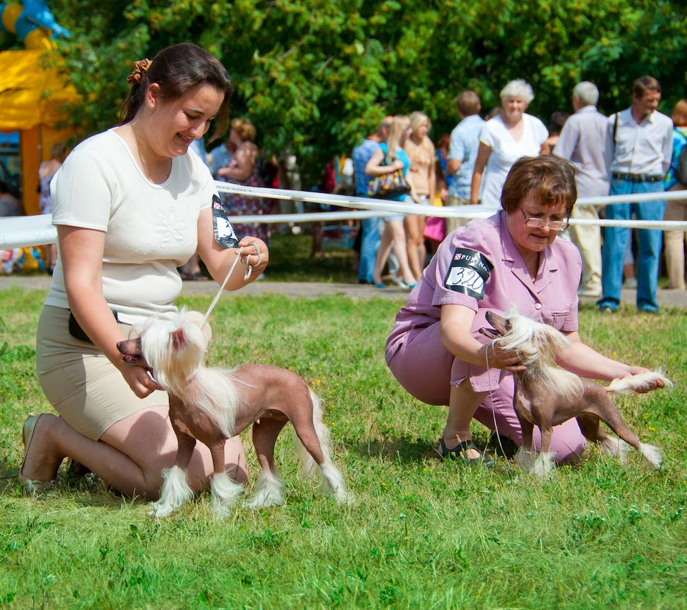 The Gossip Column: May 13, 2022